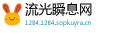 流光瞬息网